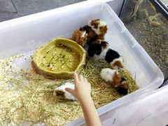 -东浩兰生上海世博展览馆