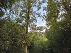 -绍兴东湖风景区