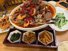 -海派美食·家宴海鲜青岛菜·石锅鲽鱼头(东方城店)