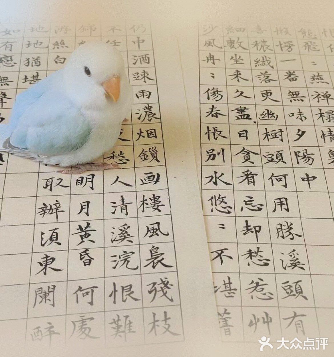 希望夏天的轻松浪漫可以延续至秋天里