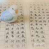 希望夏天的轻松浪漫可以延续至秋天里