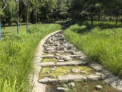 -固安志愿公园