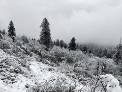 -峨眉山风景名胜区