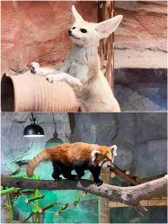 -Zoolung Zoolung动物主题公园(海信广场店)