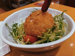 -胜博殿日式炸猪排(西红门店)