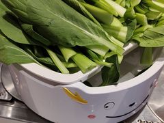 -龍歌自助小火锅(芝罘万达店)