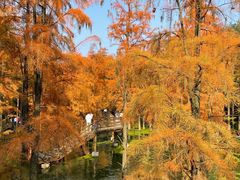 -青山湖景区