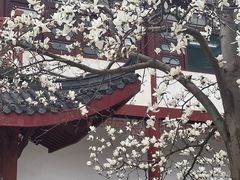 -堤角公园