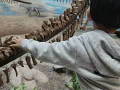 -延庆地质公园博物馆