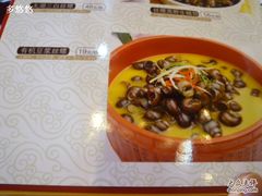 螺蛳-西新饭店(城中店)
