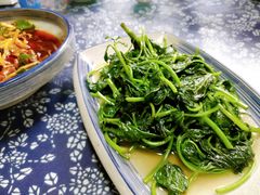 清炒苕尖-徐鼎盛民间菜(城南家园店)