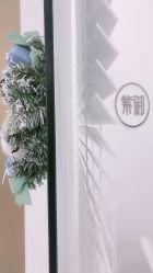 -紫御国际抗衰ZOE ANTI AGING