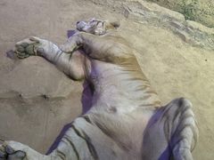 -杭州野生动物世界