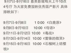 -华美国际影城(旧宫永辉店)