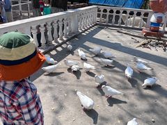 -J Create城市露营咖啡·简餐·宠物(上海动物园店)