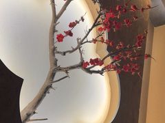 -大桶大足浴(田林路店)