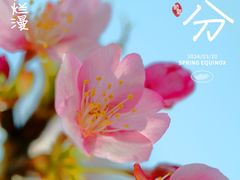 -明亚保险经纪股份有限公司(上海分公司)