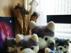 -Husky Go! 哈士奇体验馆·宠物咖啡厅狗咖