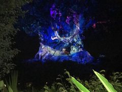 -奥兰多迪士尼动物王国乐园