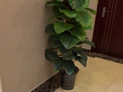 -美年大健康慈铭体检(徐汇卓越分院)