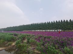 -嘉北郊野公园