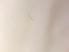 -如家酒店(杭州黄龙浙大玉泉校区店)