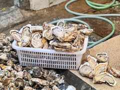-蚝抵食·湛江生蚝(湾北路店)
