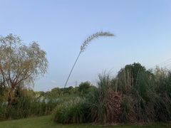 -九里河湿地公园
