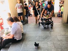 -波士顿昆西市场