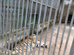 -祥源·阜阳生态乐园