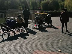 -黄村公园