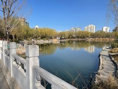 -三忘湖 SWANSEEN(柳荫公园店)