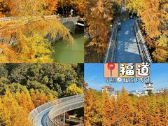 -福道