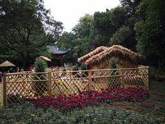 -汇龙潭
