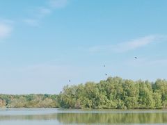 -大湾区中央湿地公园