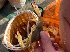 -红树林天天赶海