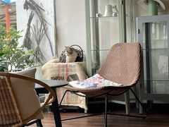 -参差咖啡(水果湖公园店)