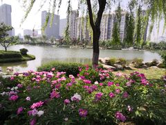-木塔寺遗址生态公园
