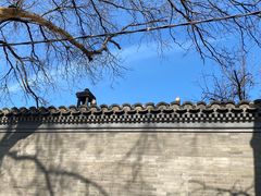 -北京国子监胡同