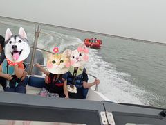 -碧海金沙