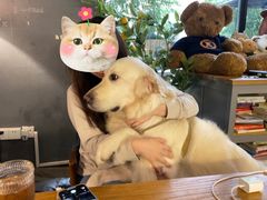 -咖法森林·咖啡  酒吧(天河店)