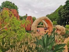 -深圳仙湖植物园