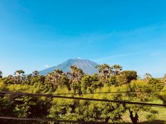 -飞鱼&摩娜潜水度假村