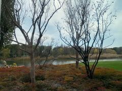 -养云安缦吧THE BAR