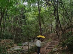 -波尔登森林公园