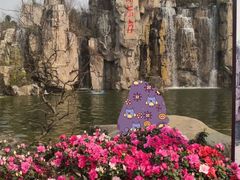 -秀丽东方