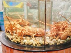 -九號渔港·蒸汽海鲜·粤菜茶点(八卦岭店)