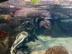 -太平洋海底世界