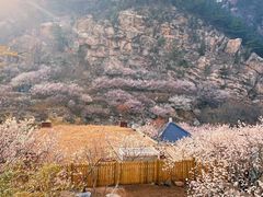-崂山九水游览区