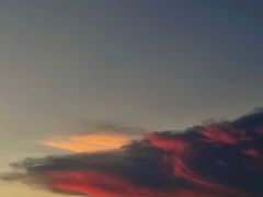-燕鸣岛